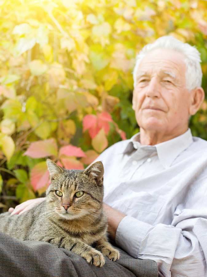 Elderly Care Galion OH - Benefits of Seniors Adopting a Pet