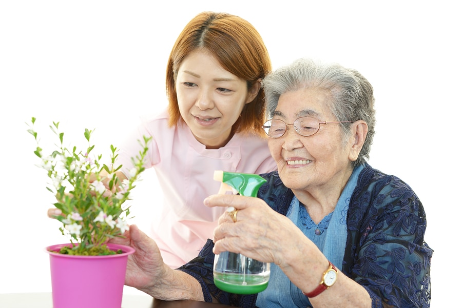 Personal Care at Home Mansfield OH - Personal Care at Home: Indoor Gardening for the Elderly