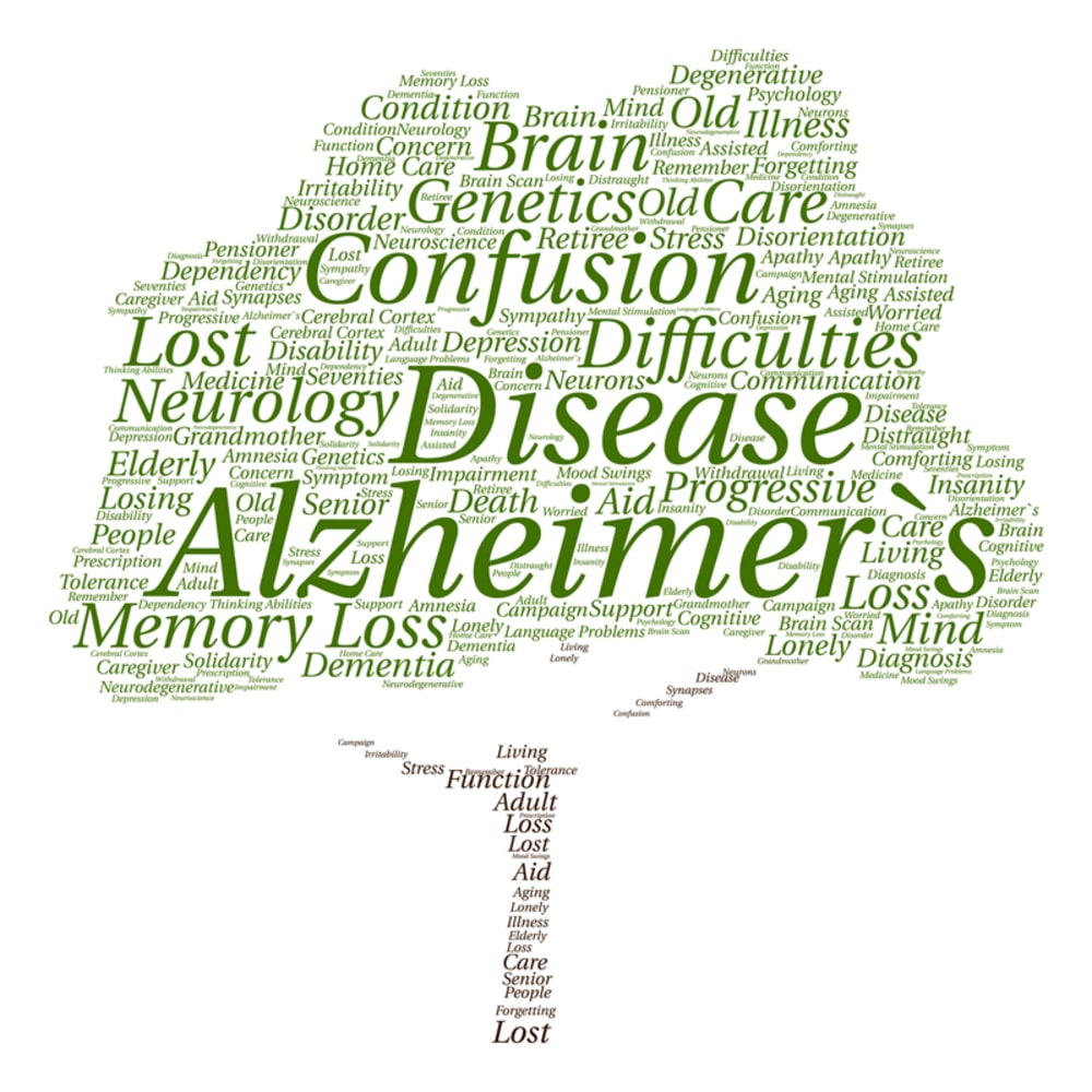 Alzheimer's Care Ontario OH - What Help Do Alzheimer's Patients Need?