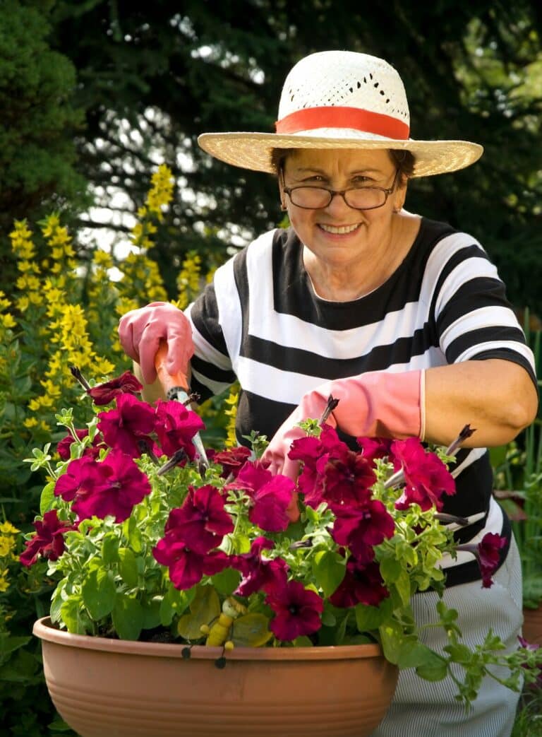 Home Care Ontario OH - How Seniors With Limited Mobility Can Still Garden